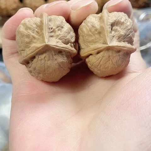 文玩核桃把件血麒麟带彩36