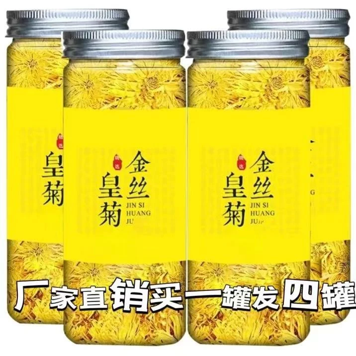 金丝皇菊《拍一发四罐》黄山大菊花高山手工采摘