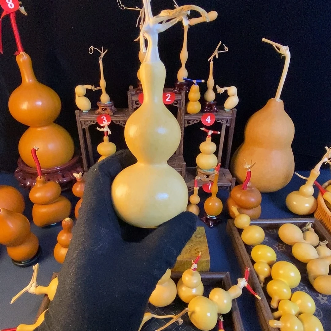 同***鑫大叶紫檀（黑酸枝木类）