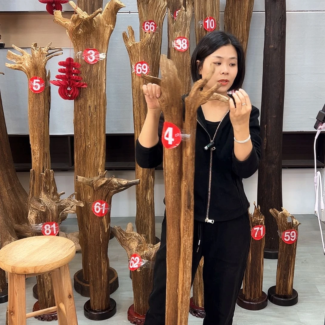 沉香摆件小*猪海南沉香摆件