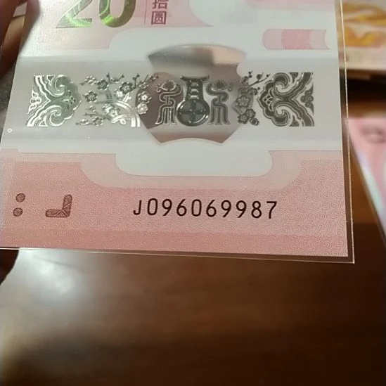 塑料蛇纪念钞金钩王 096069987