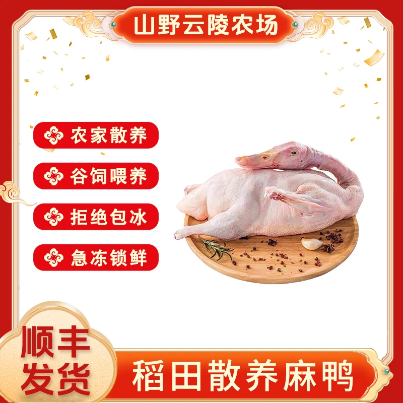 山野云陵农场散养稻田麻鸭2斤/只*2(胗,肝,心,都在)红烧不腥