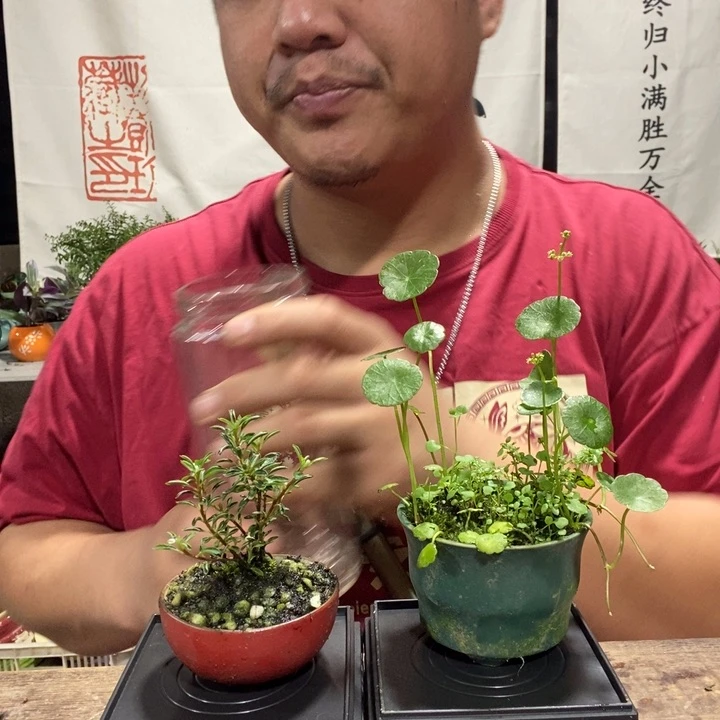 一物一拍所见即所得189