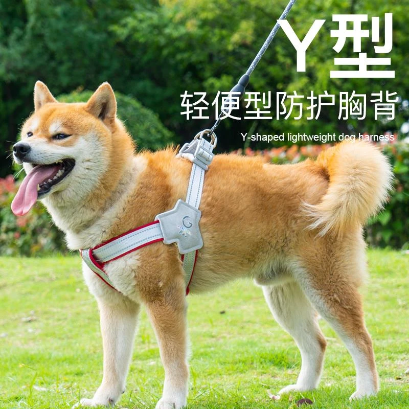 2025新款狗狗牵引绳胸背带背心式宠物遛狗绳中小型柴犬犬法斗柯基