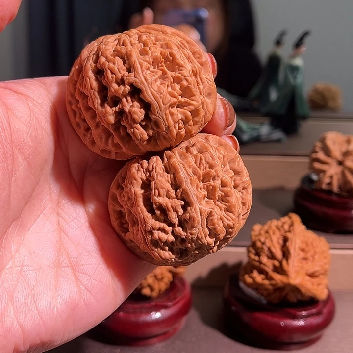 煤***罐核桃大粗筋全品无休