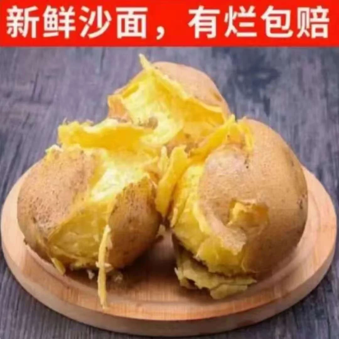 2025年新鲜现挖农家高山特产黄皮黄心土豆粉糯沙面批发蔬菜