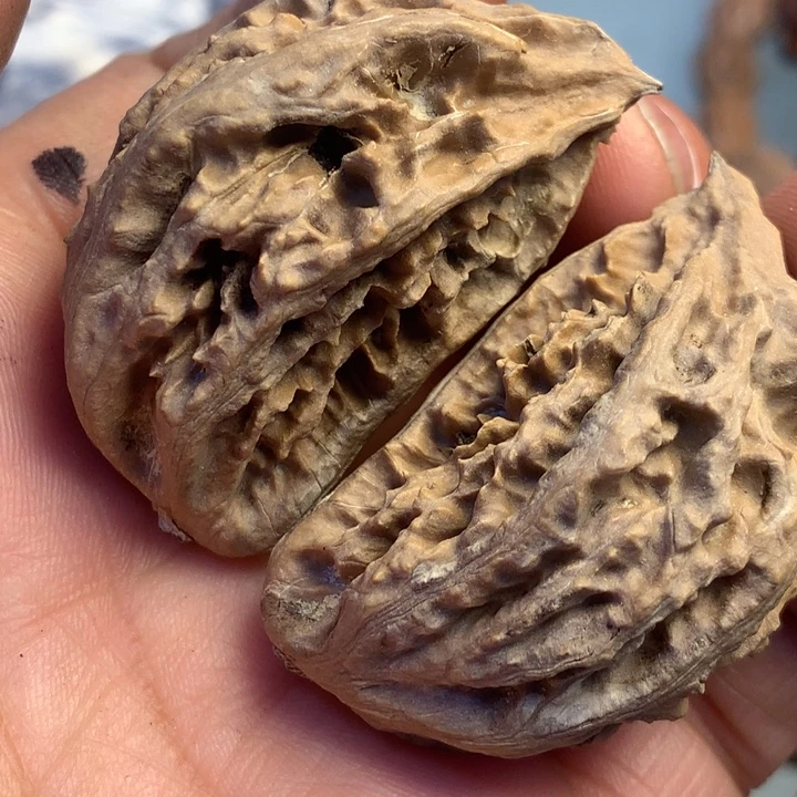 猴头核桃把件拿姐104