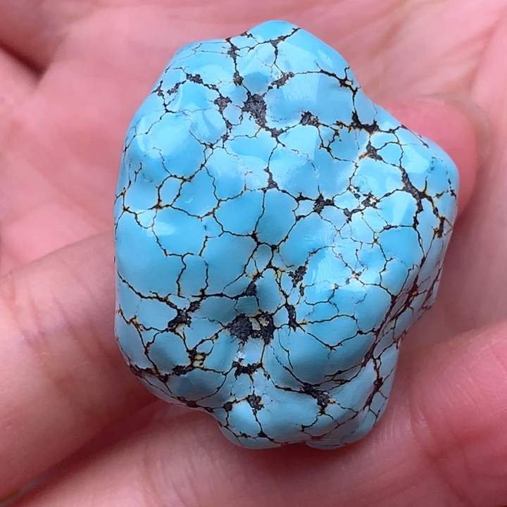 绿松石颈饰未镶嵌