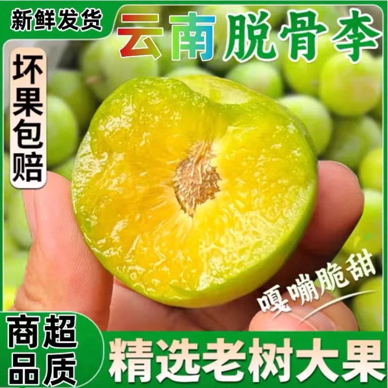 正宗云南昭通绥江半边红脱骨李子当季新鲜水果现摘现发脆甜多汁