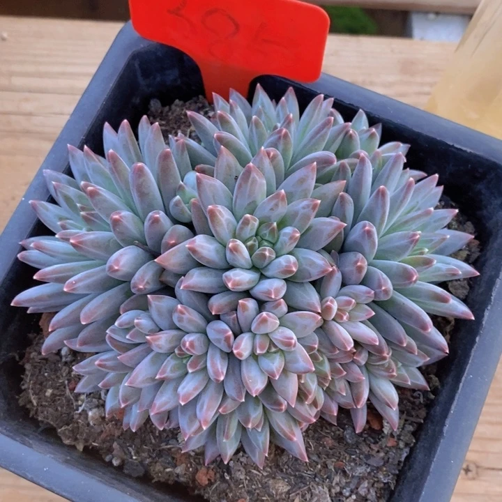 这些东西的意义就