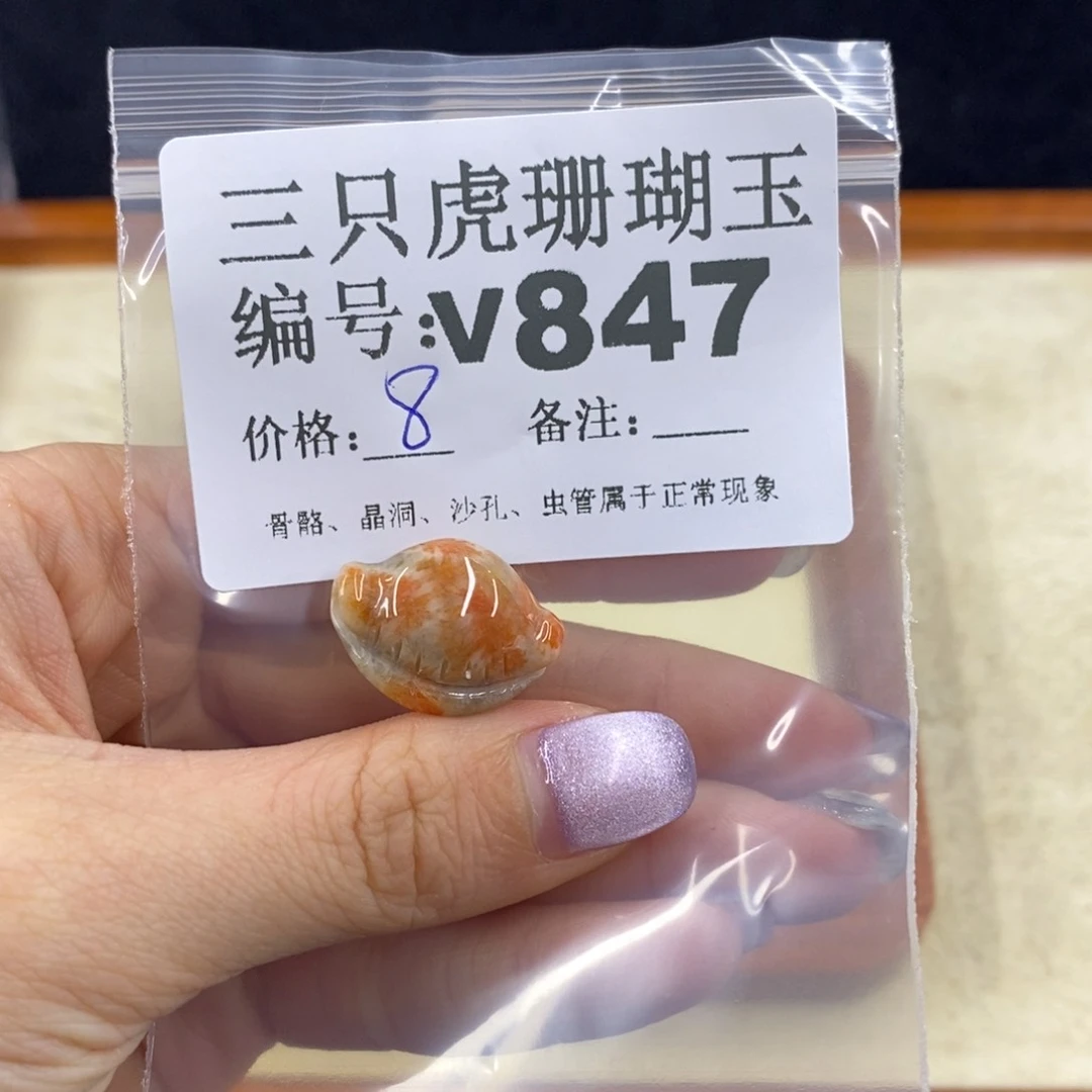 硅化珊瑚（珊瑚玉）未镶嵌1 ✨*