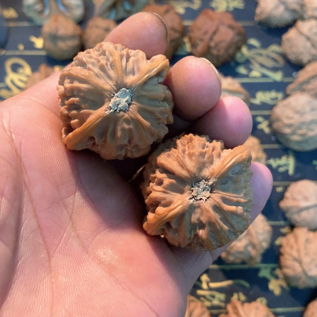 文玩麻核桃宫灯 尺寸4.0