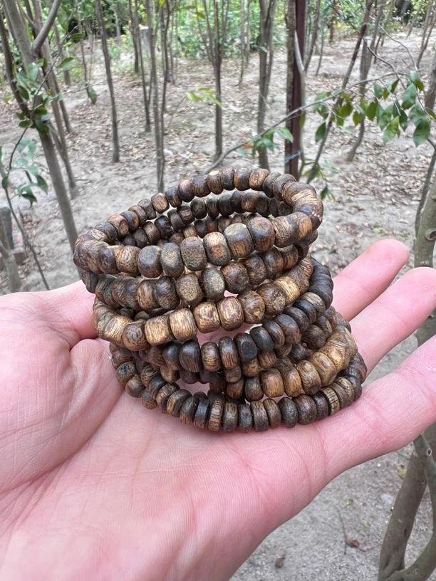 虫漏随单圈型算盘珠多样性发一