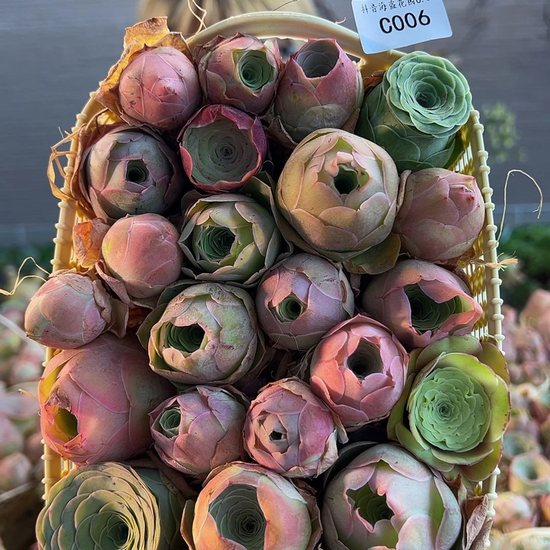 C006。玫瑰混花篮。