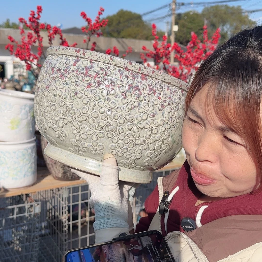王嫂花盆直播1126-414高20口29