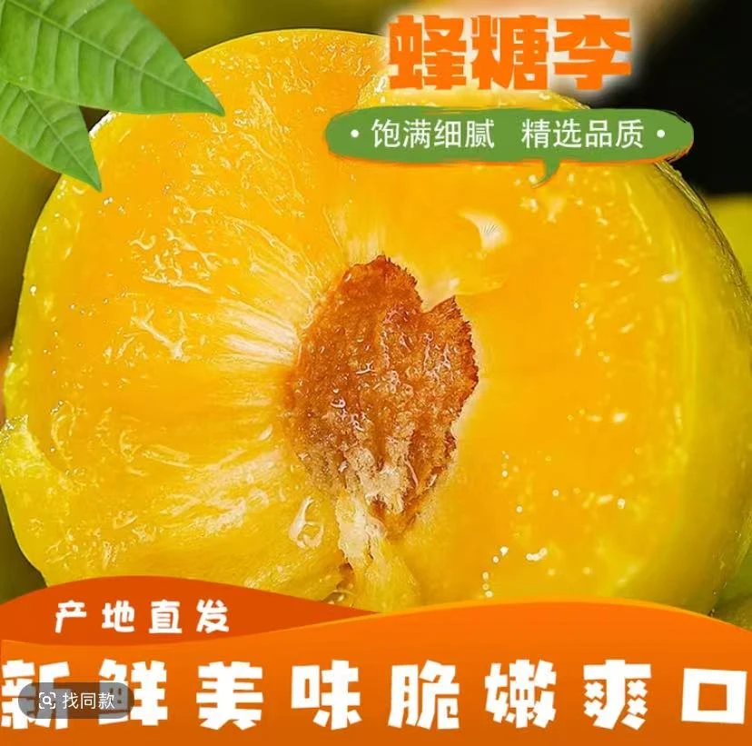 【果园直发】新贵州六马正宗脱骨蜂糖李新鲜现摘当季应季脆甜多汁