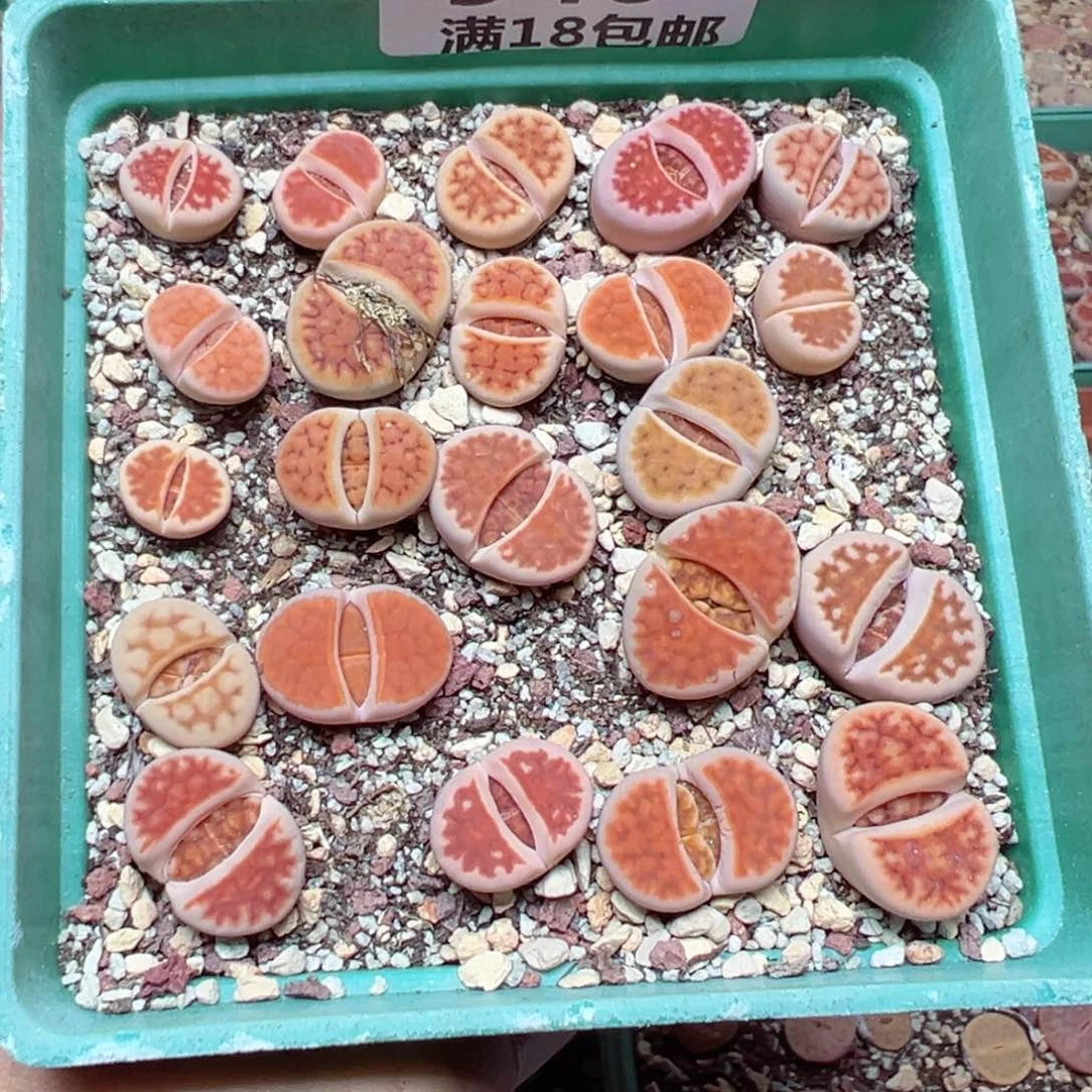 【闪购商品】 940。