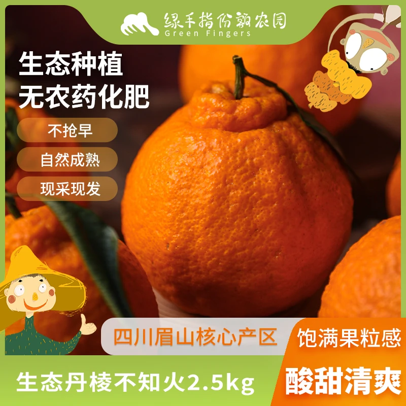 生态丹棱不知火（丑橘）2.5kg 绿手指有机农园