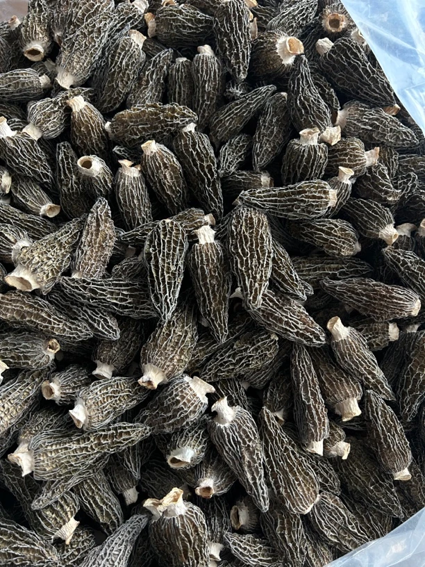 【仿野生】7妹 25年云南头茬全剪柄 仿野生 羊肚菌 青草香 产地直发