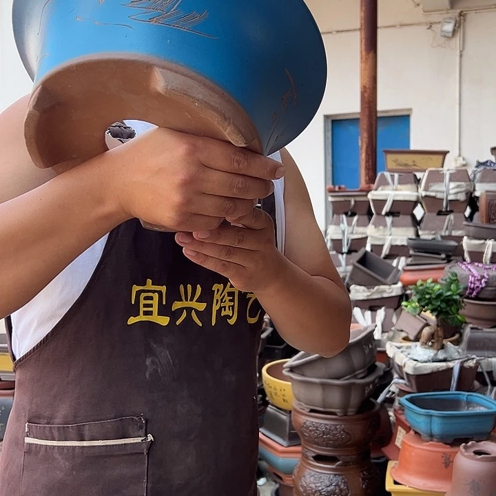 紫砂花盆紫砂花盆