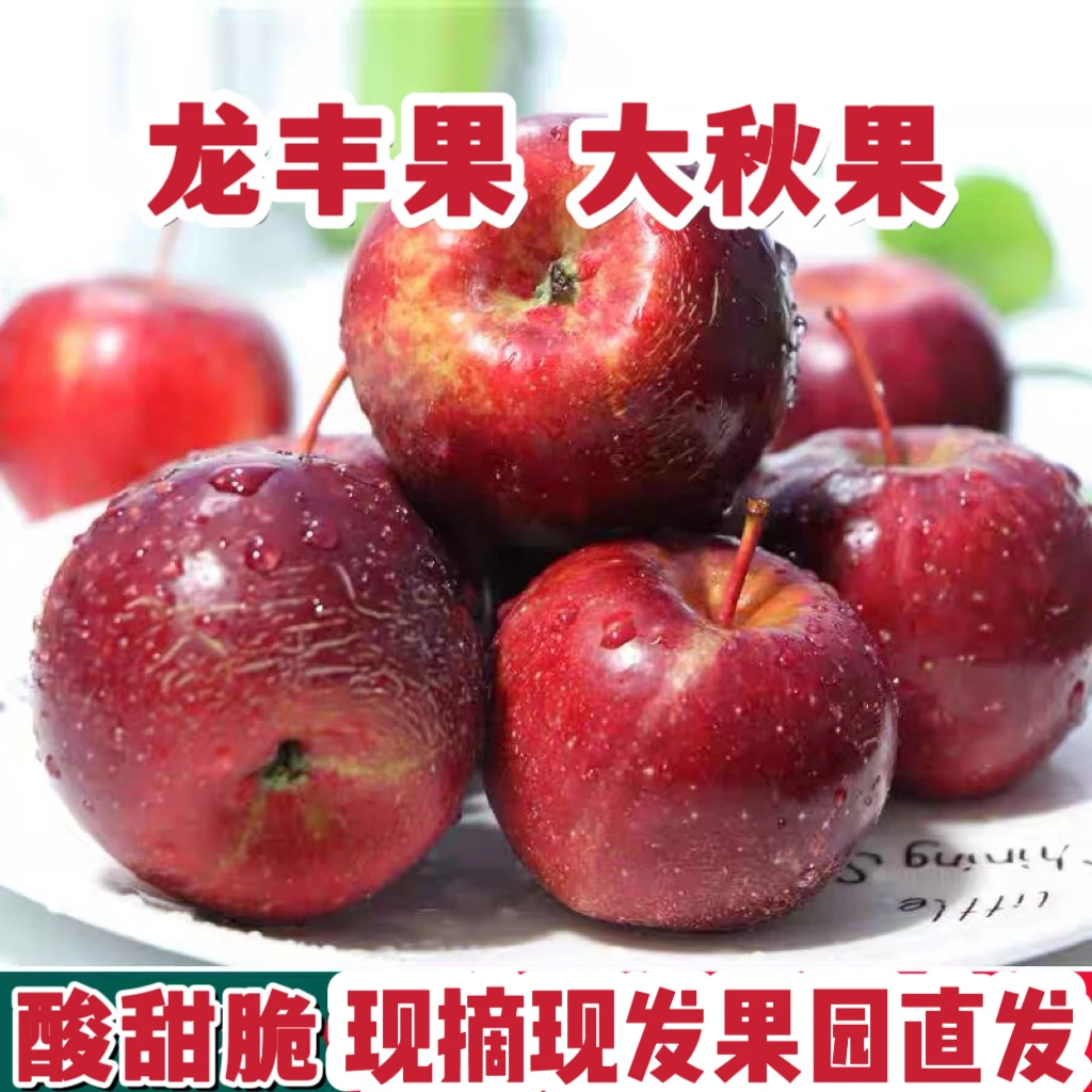 东北大秋果龙丰果现摘现发酸甜脆1斤3斤5斤包邮