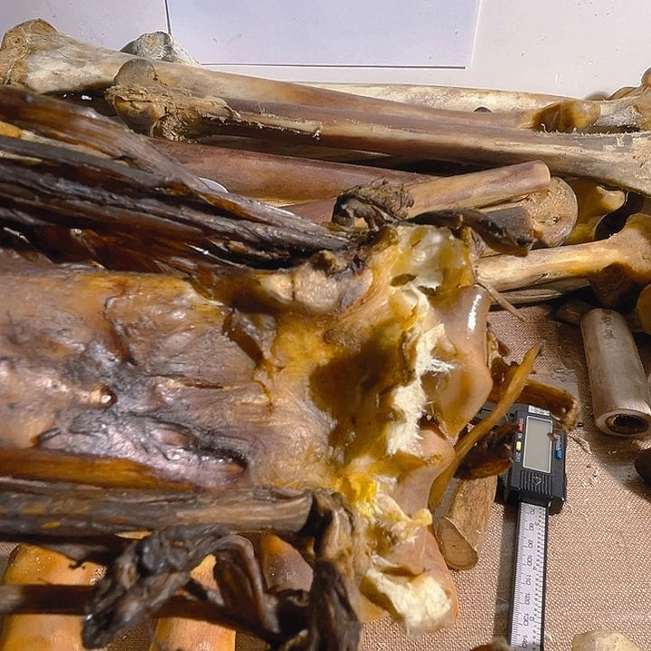 yyhu整套超大整套