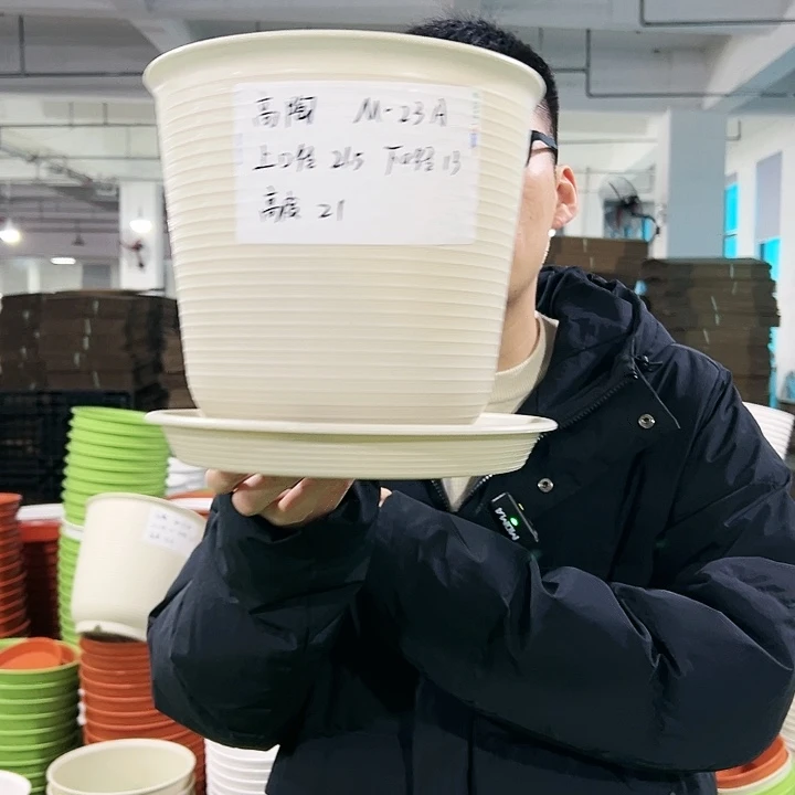 正品高陶口21高21米色带托6只