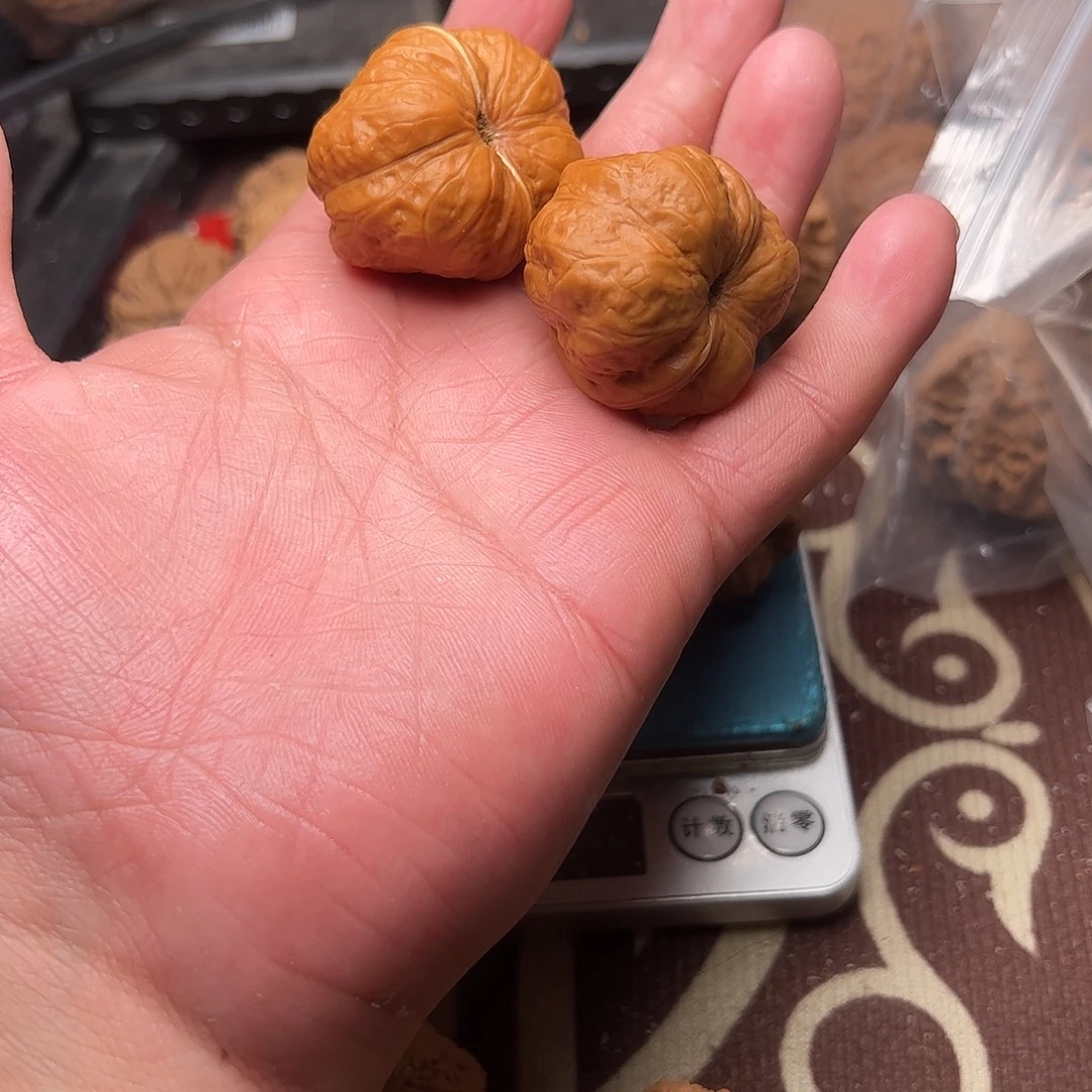 老***贼文玩核桃老树玉蝉