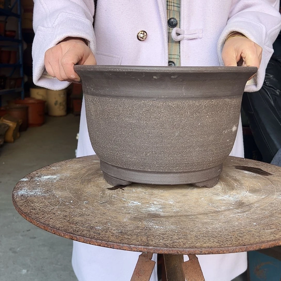 30拉毛小马一只花盆花盆花盆