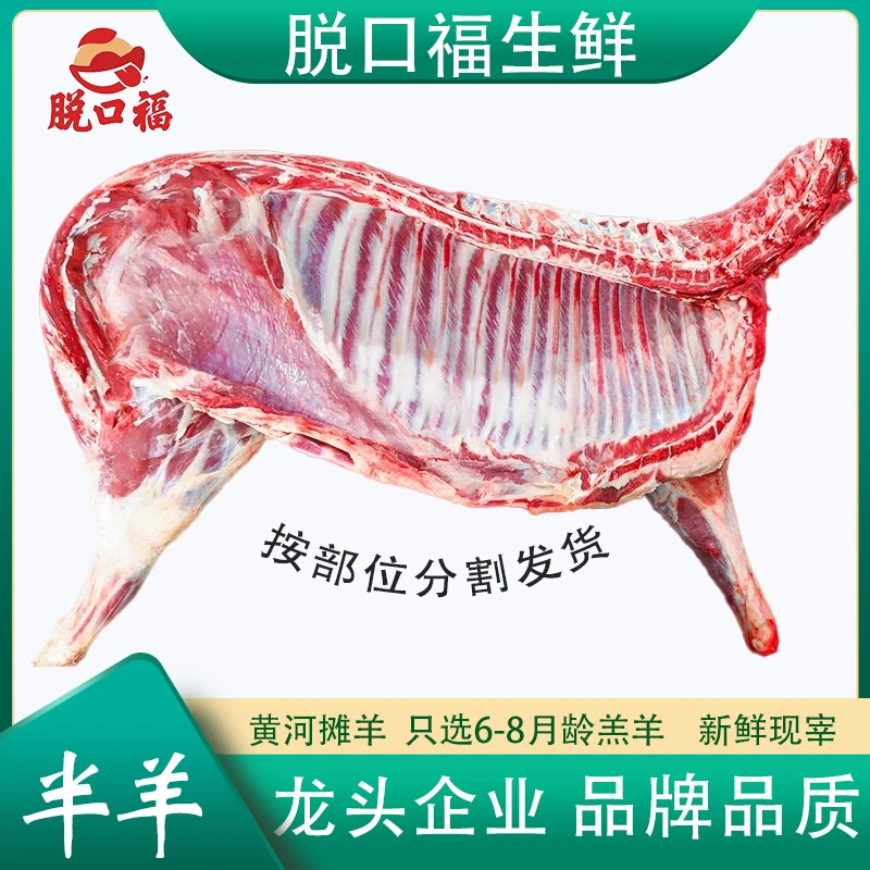脱口福【半羊/5斤起】黄河滩羊/按部位分割整扇75%腿排顺丰