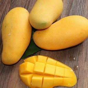 大金煌芒果1个 /个芒果同城配