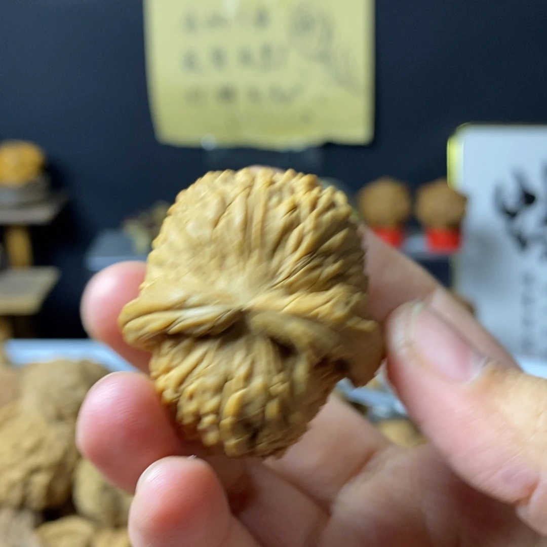问***林大叶紫檀（黑酸枝木类）