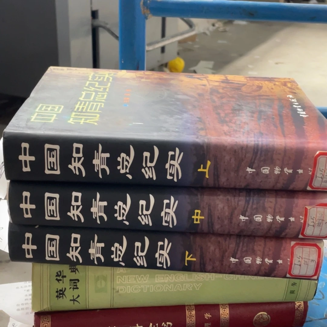 中国知青总纪实上中下