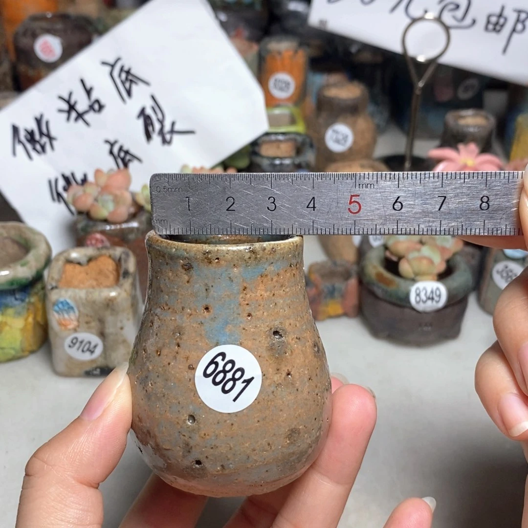 拍5送一个小礼物