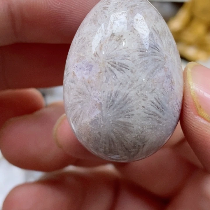 颈饰未镶嵌硅化珊瑚（珊瑚玉）有瑕