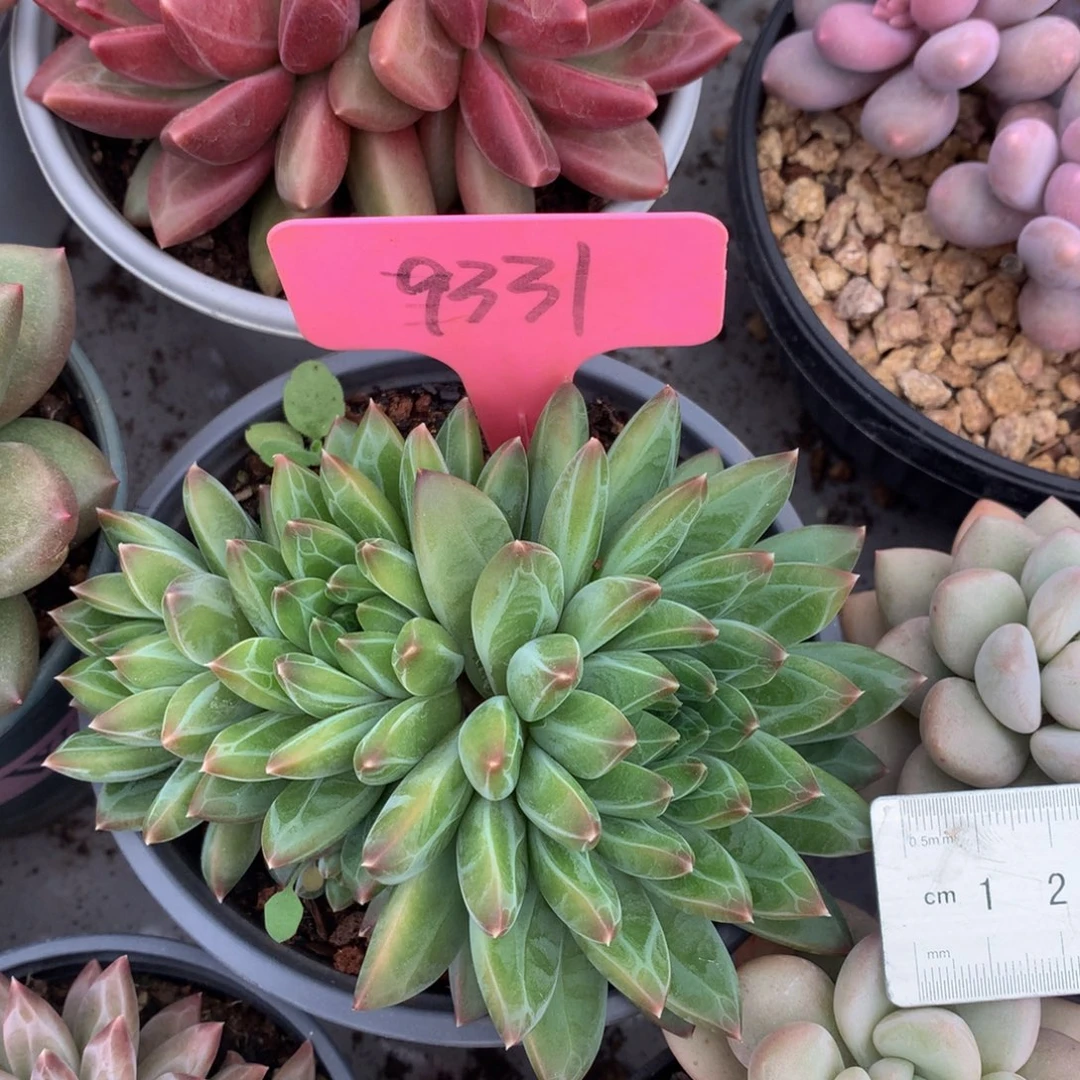 陨石72727272727272