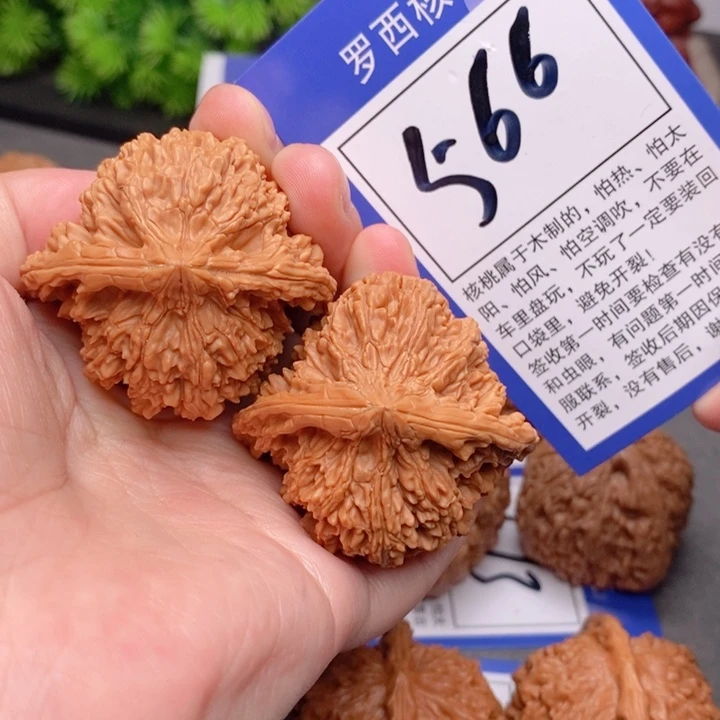 桃核把件顶***丈44满天星566号牌