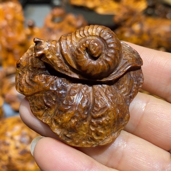 柏木太行崖柏陈化