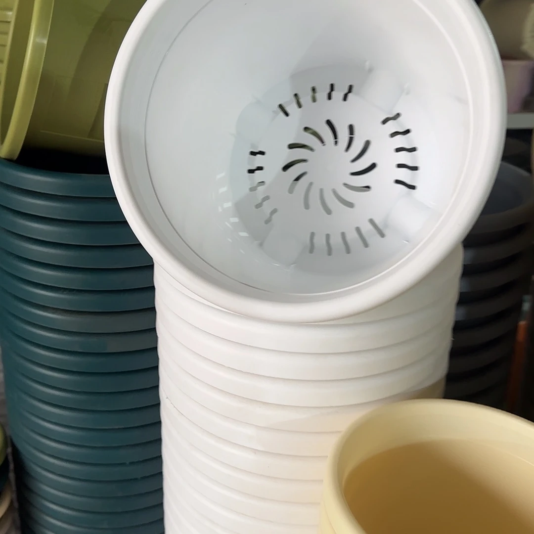 树脂四季5号无托10个白色