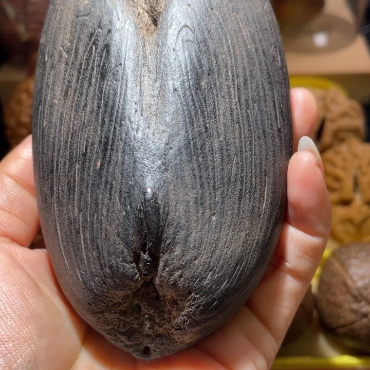 桃核把件阿*吧海椰子黑金刚