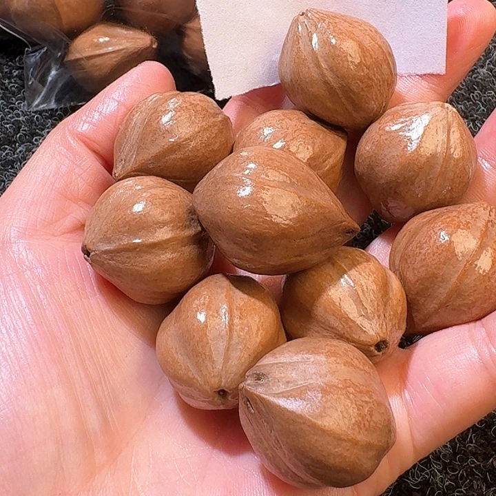 吊坠橄榄核憨***大2.4✖️3.0