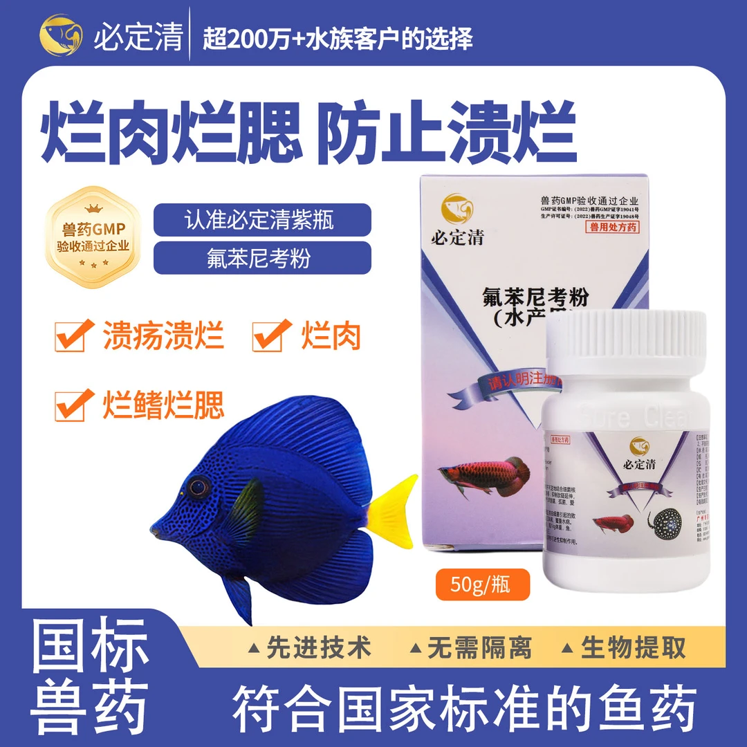 必定清鱼药白点霉菌观赏鱼烂身烂尾立磷蒙眼水族疾病驱虫检疫治疗