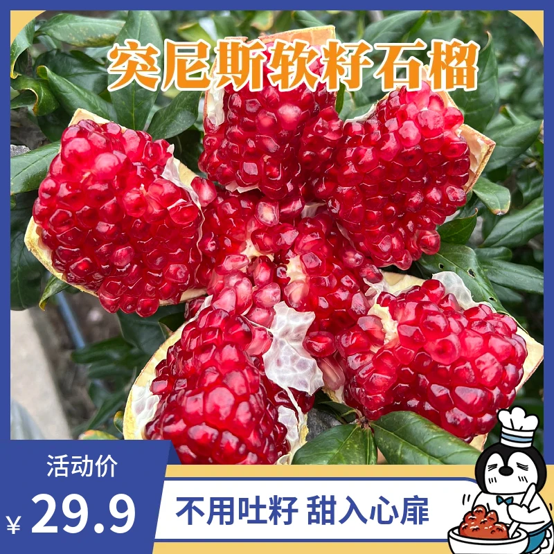 突尼斯软籽石榴5斤装会理新鲜水果现摘现发坏果包赔