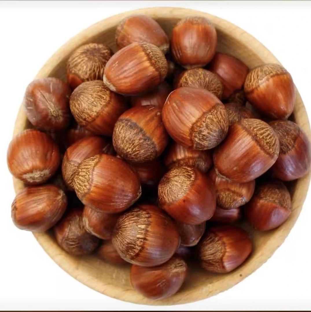 （主播专属）东北大榛子 送工具