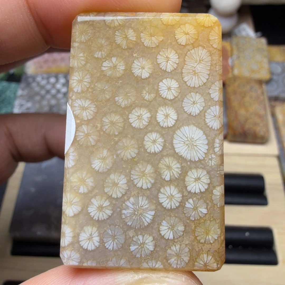 硅化玉未镶嵌纯天然色有机玉石保真色