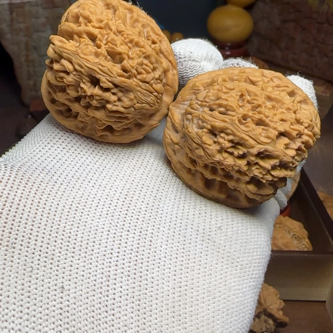 文玩核桃把件天残角（南疆）