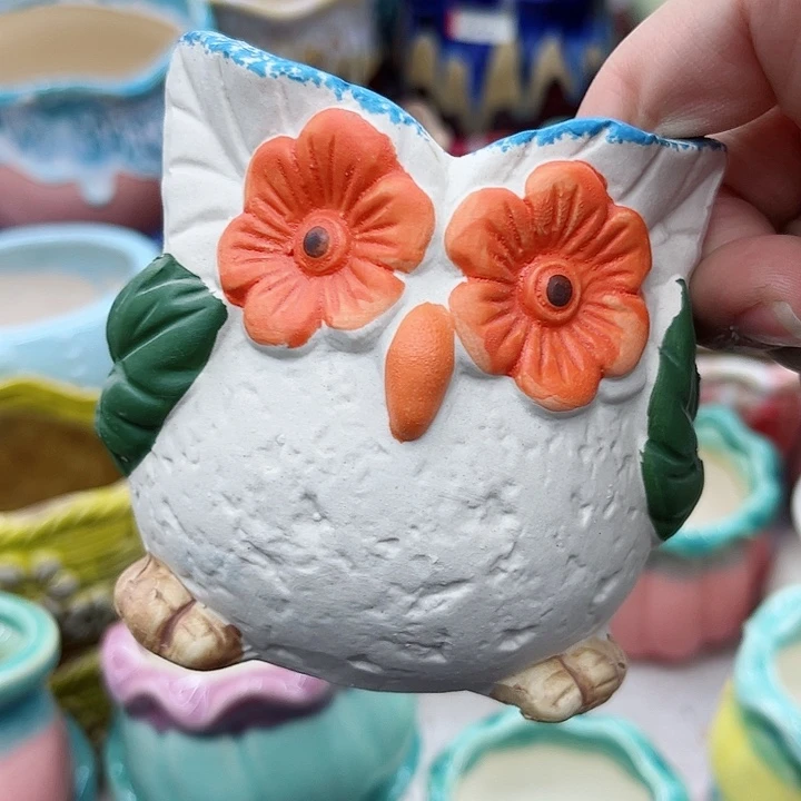 多肉绿植陶瓷花盆9.9包邮，有孔