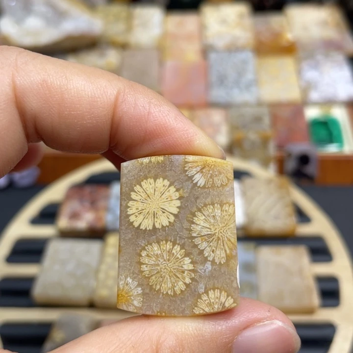 硅化玉未镶嵌颈饰k23