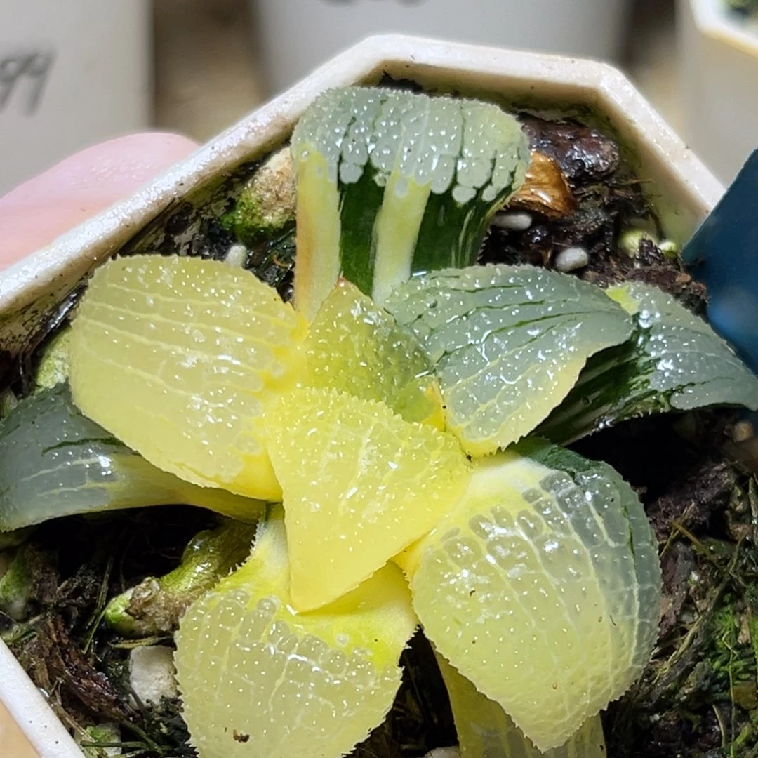 恭喜发财大吉大利0108