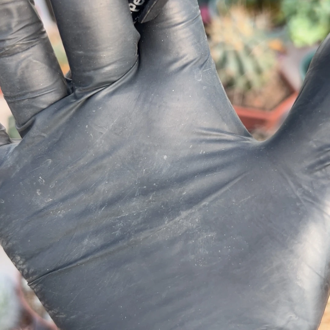 *****余额42。零零落落 零零落落